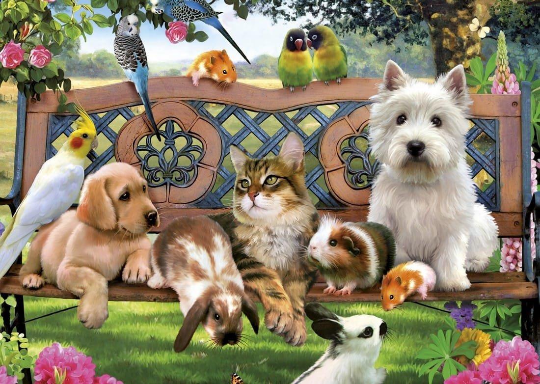 КОТОМАНИЯ & ВСЕ животные в Греции group avatar