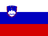 Картинка с флагом Словения